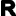 FAVICON Reiss R logo icon