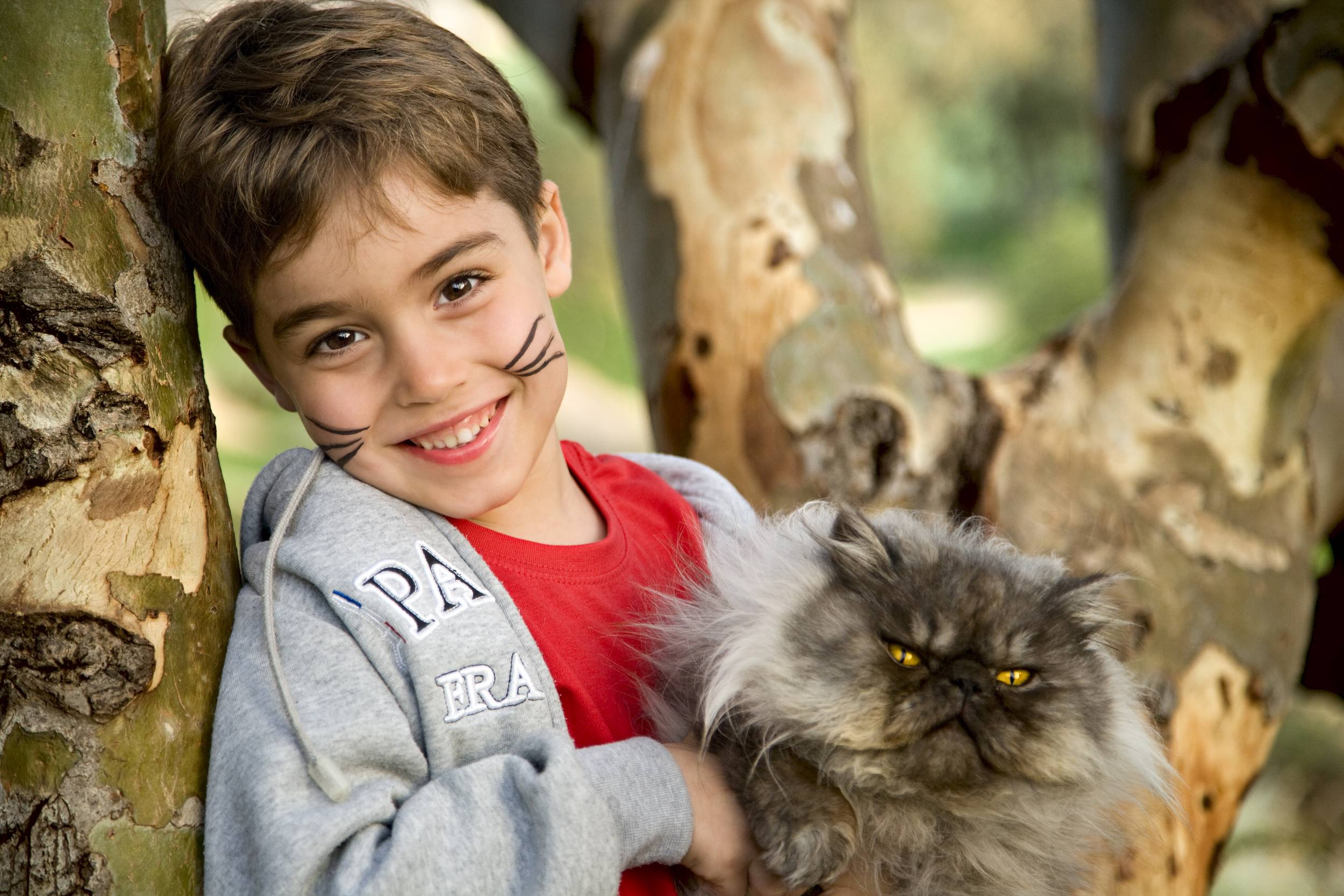 צילום ילד מחזיק חתול פרסי עם עינים חומות מעיל לבן על עץ בטבע