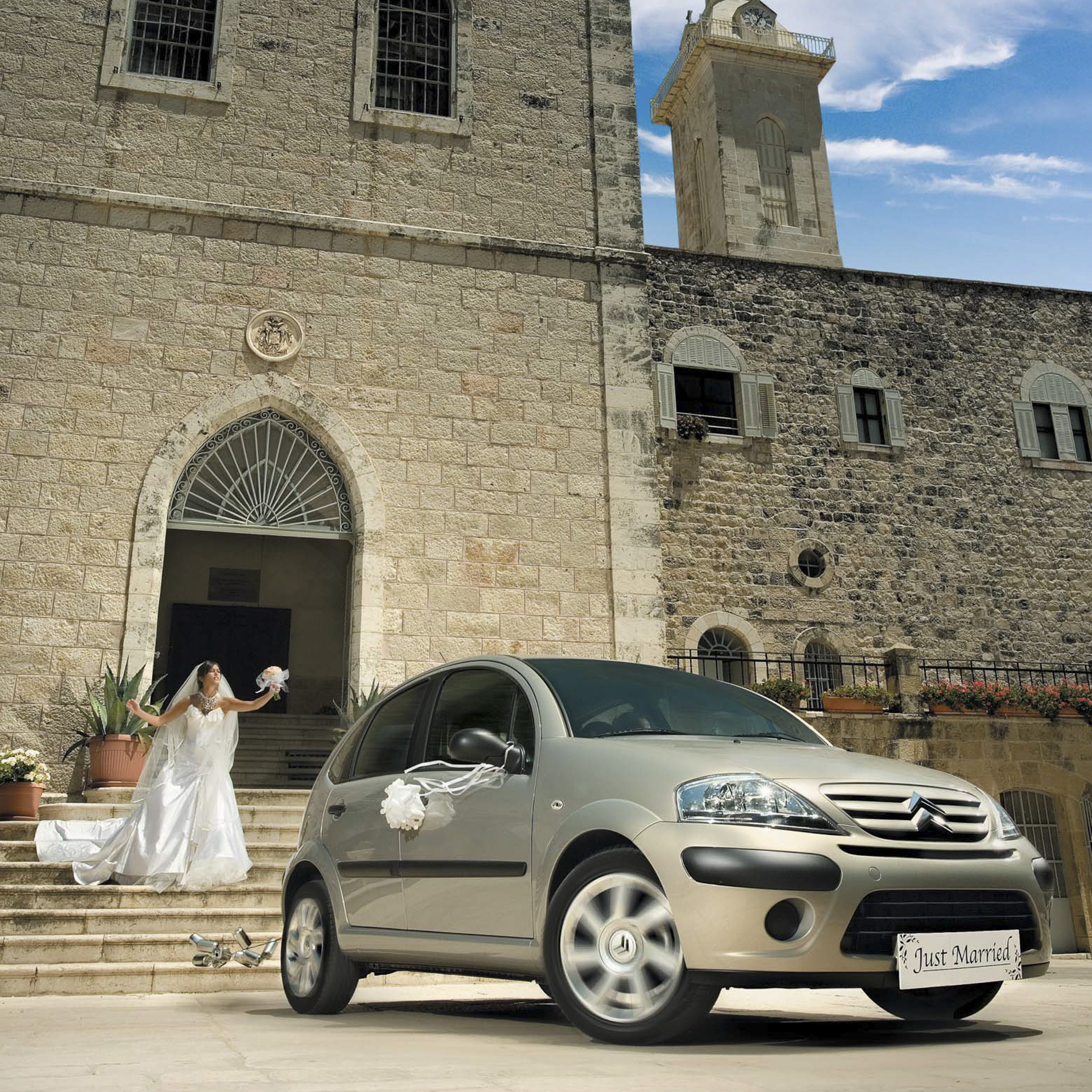 תכשיט סיכה של פדני PADANI בצורת פרפר על רקע ירוק משתקף ומסביב עלים ירוקים צולם על ע'י סטודיו רייס קריאיטיב ארזה לבנה