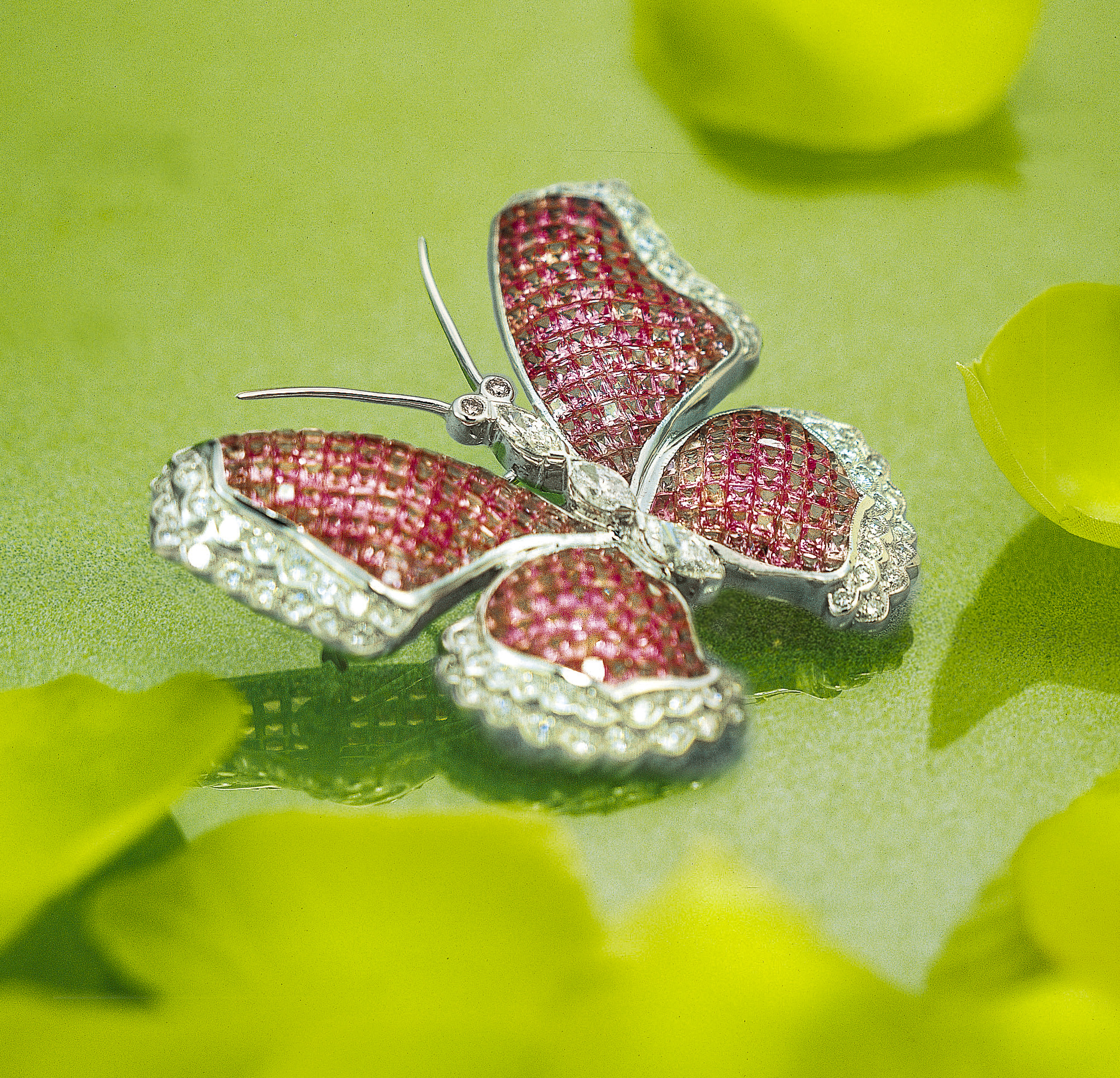 תכשיט סיכה של פדני PADANI בצורת פרפר על רקע ירוק משתקף ומסביב עלים ירוקים צולם על ע'י סטודיו רייס קריאיטיב ארזה לבנה